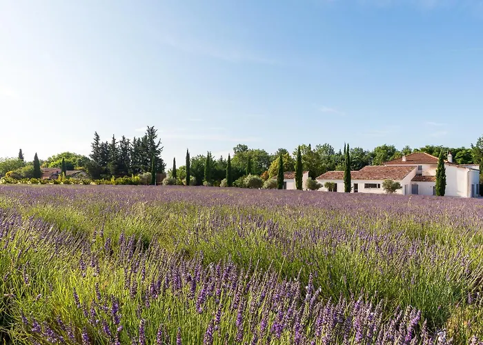 La Bastide De Damien, 5 Clefs Demeure D'Exception Et Table Remarquable Dans Le Guide Teritoria, Jacuzzi Privatif, Cuisine Etoilee Dominique Frerard