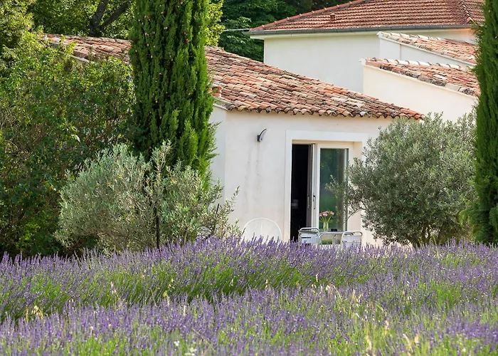 La Bastide De Damien, 5 Clefs Demeure D'Exception Et Table Remarquable Dans Le Guide Teritoria, Jacuzzi Privatif, Cuisine Etoilee Dominique Frerard